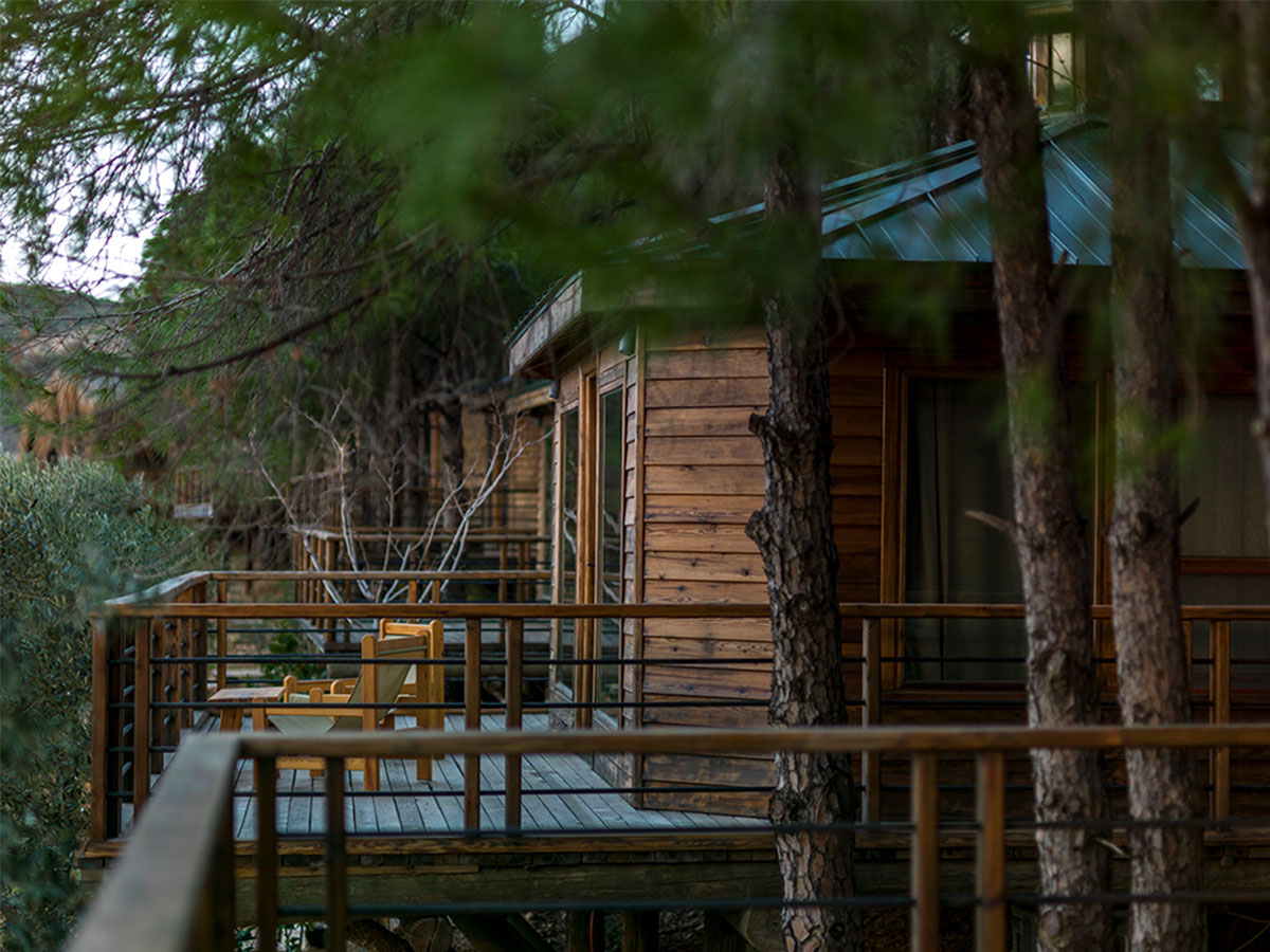 Tree House zwischen Pinien